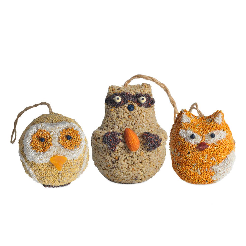 Mr. Bird- Woodland Friends Bird Feeder