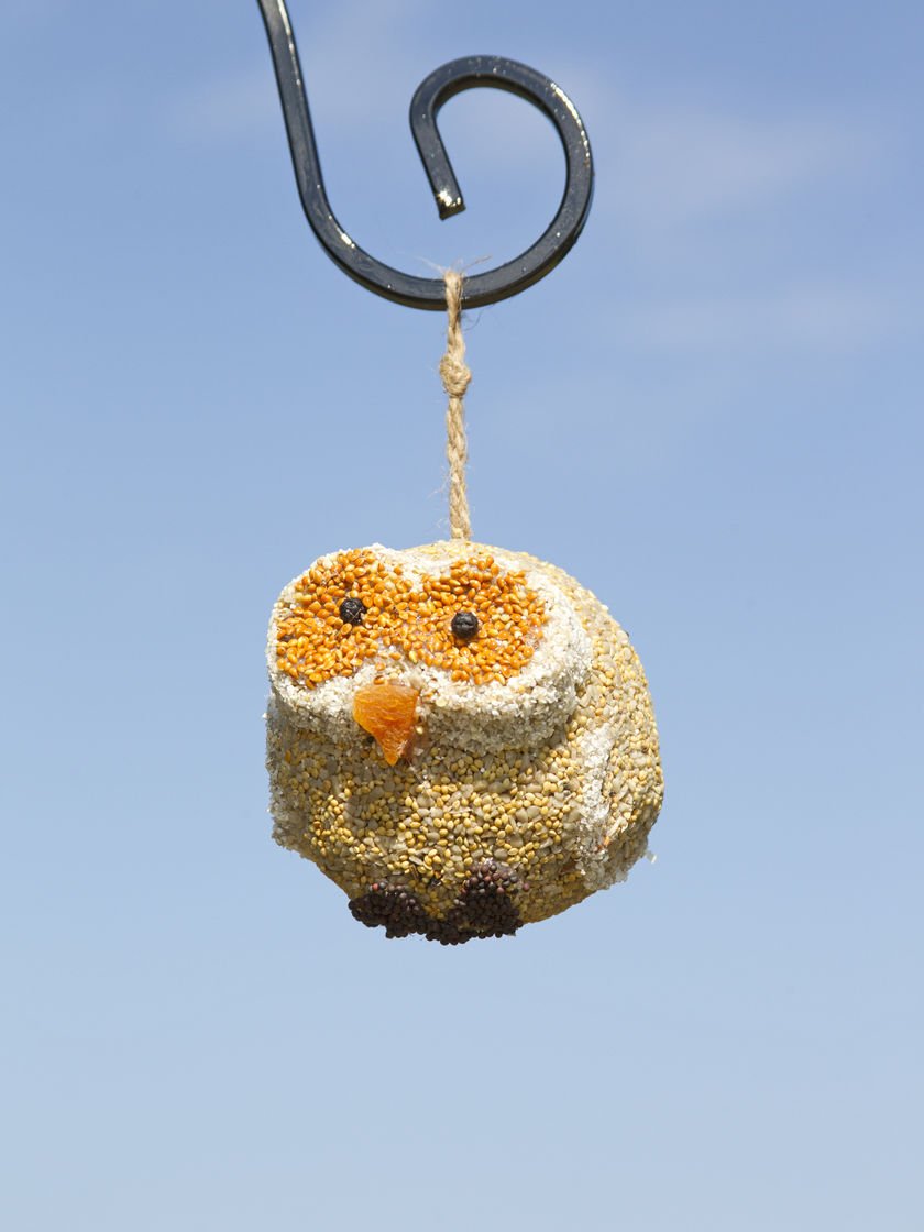 Mr. Bird- Woodland Friends Bird Feeder