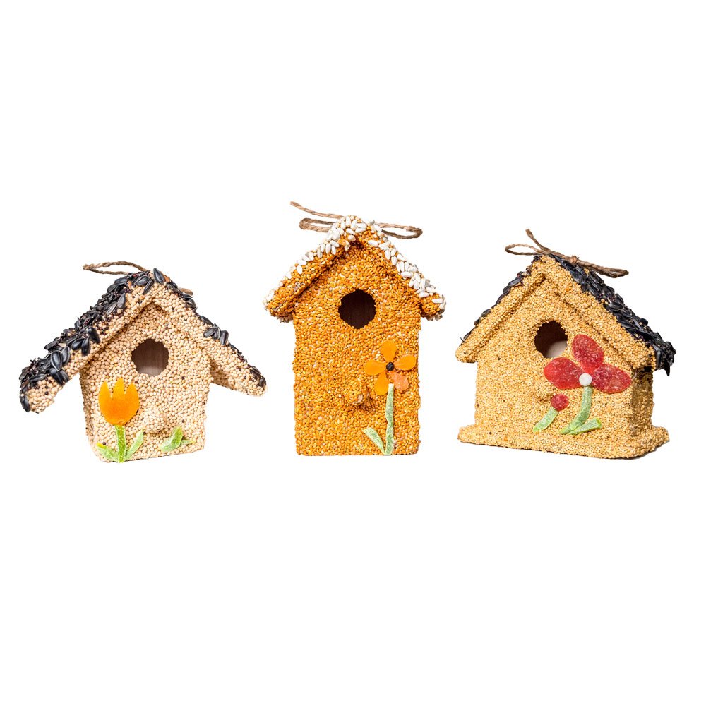 Mr. Bird- Spring Fruit Cottages