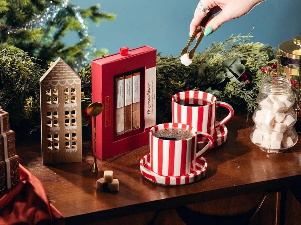 TEASPRESSA- Christmas Tea Mixer Kit, Peppermint & Gingerbread Cubes