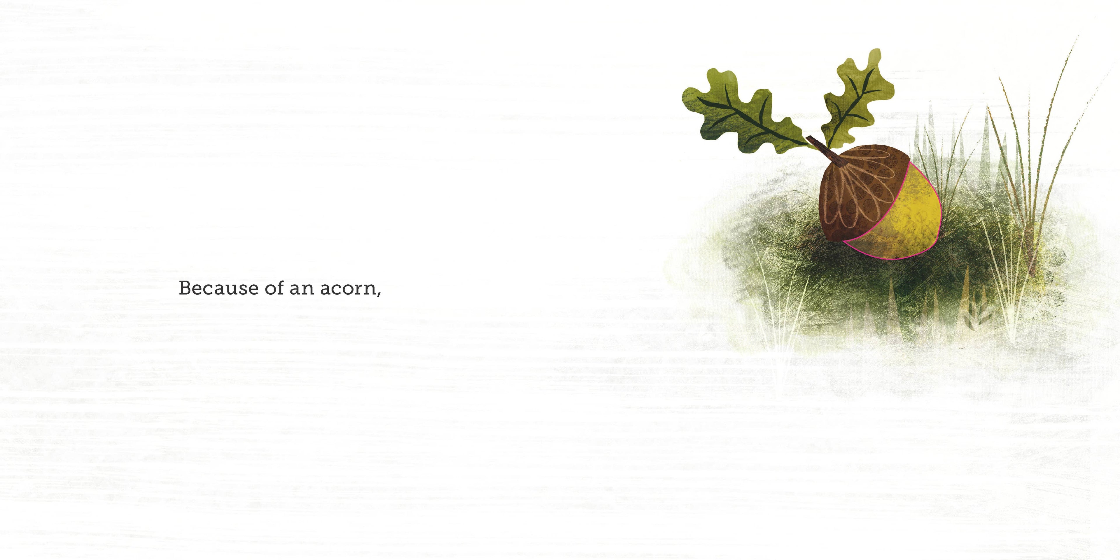 Chronicle Books- Because of an Acorn
