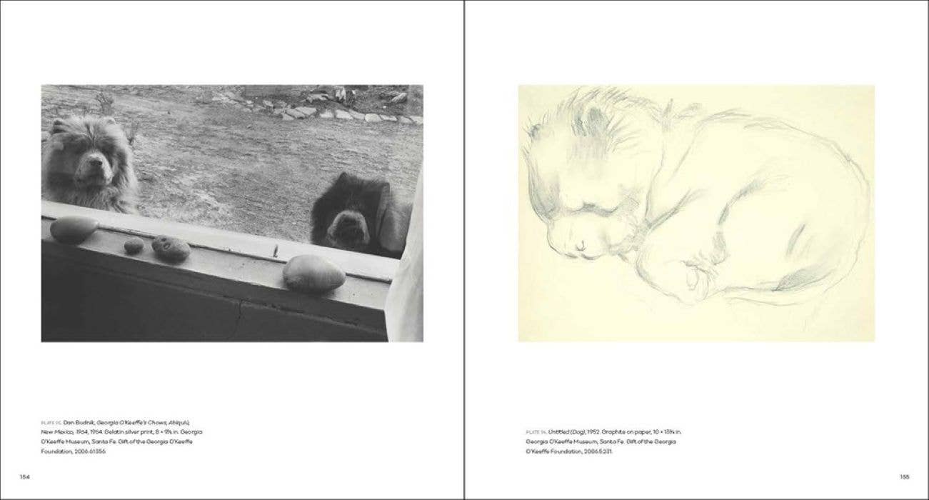 W. W. Norton- Georgia O'Keeffe, Photographer: