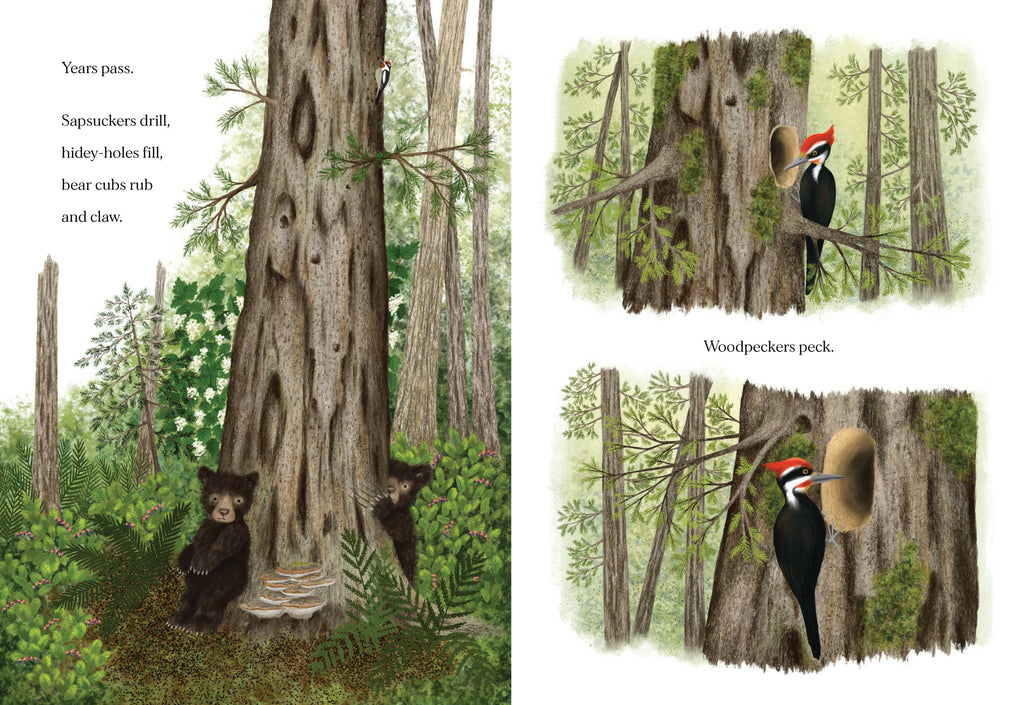 Chronicle Books- When a Tree Falls