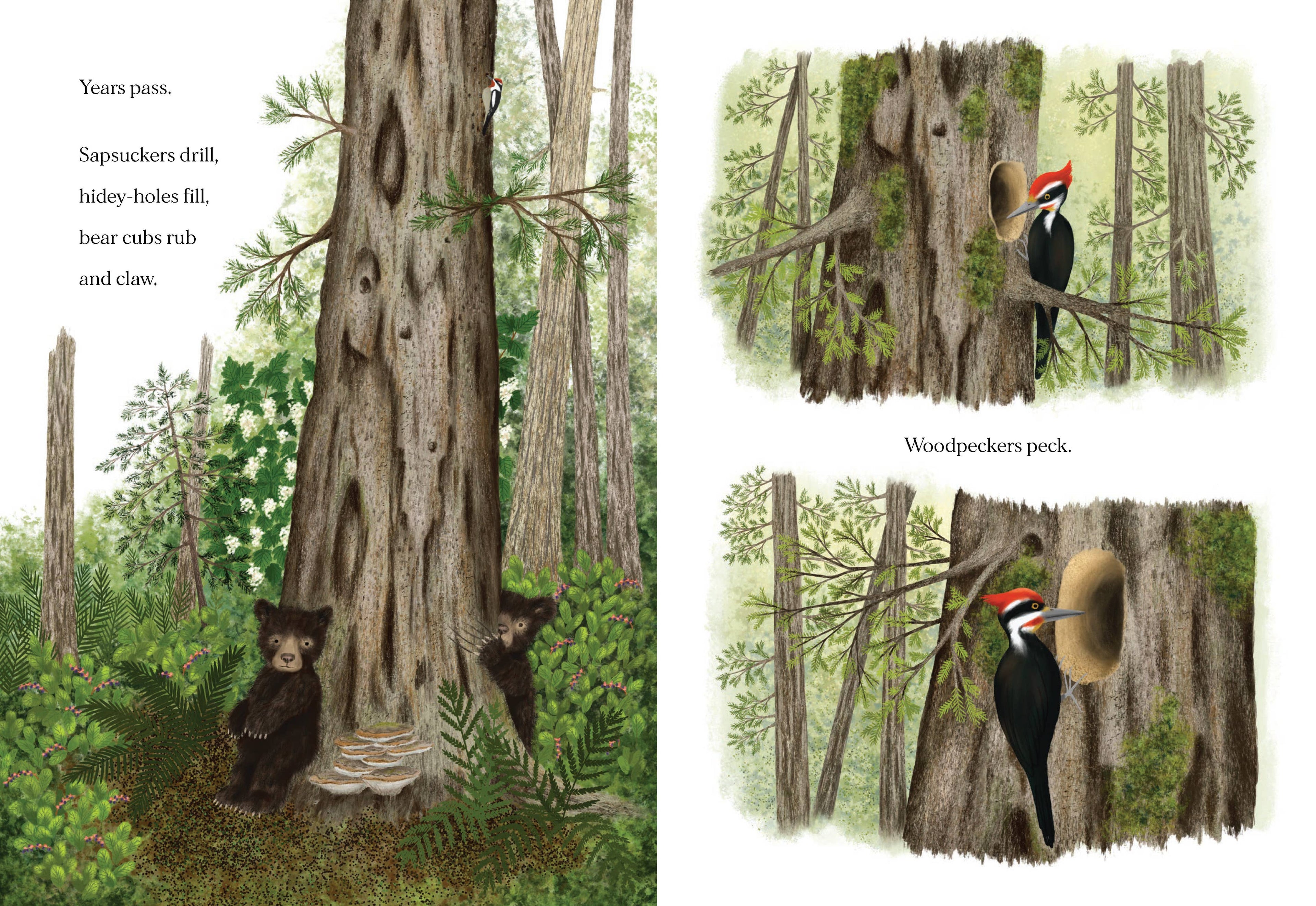 Chronicle Books- When a Tree Falls