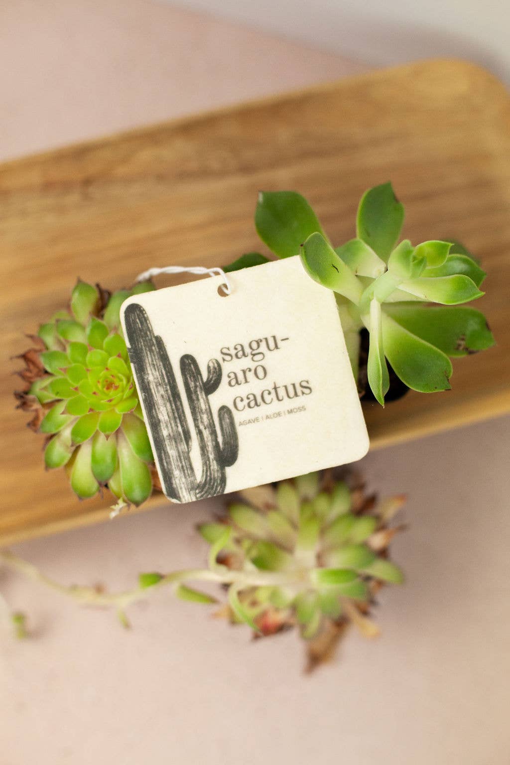 Broken Top Brands- Saguaro Cactus - Car Fresheners