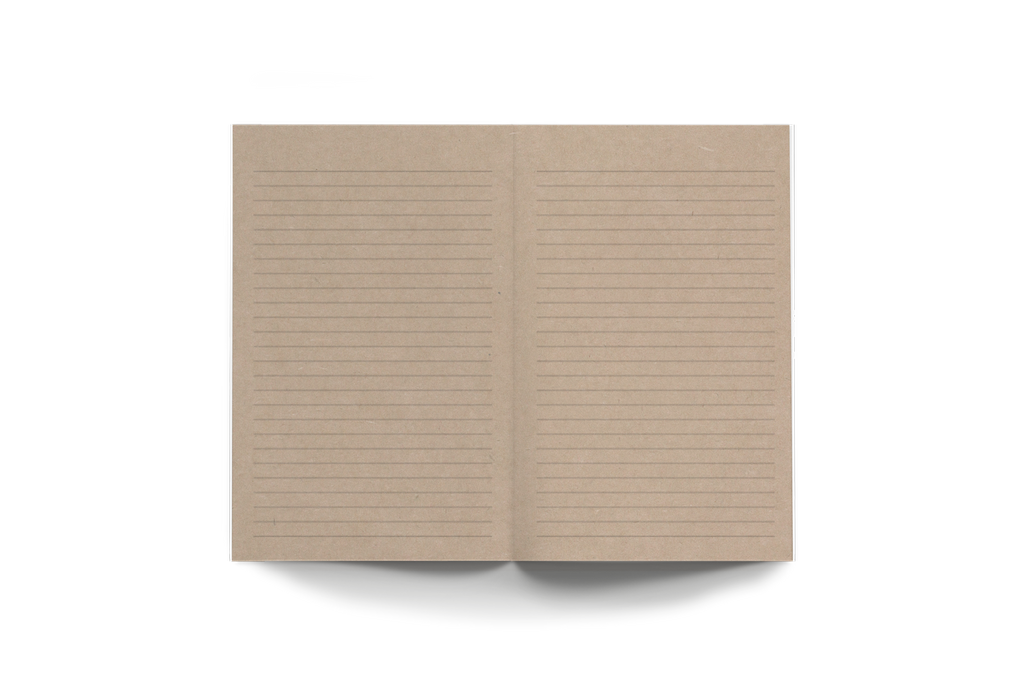 Denik x Rayco- Desert Skull Kraft Classic Layflat Notebook