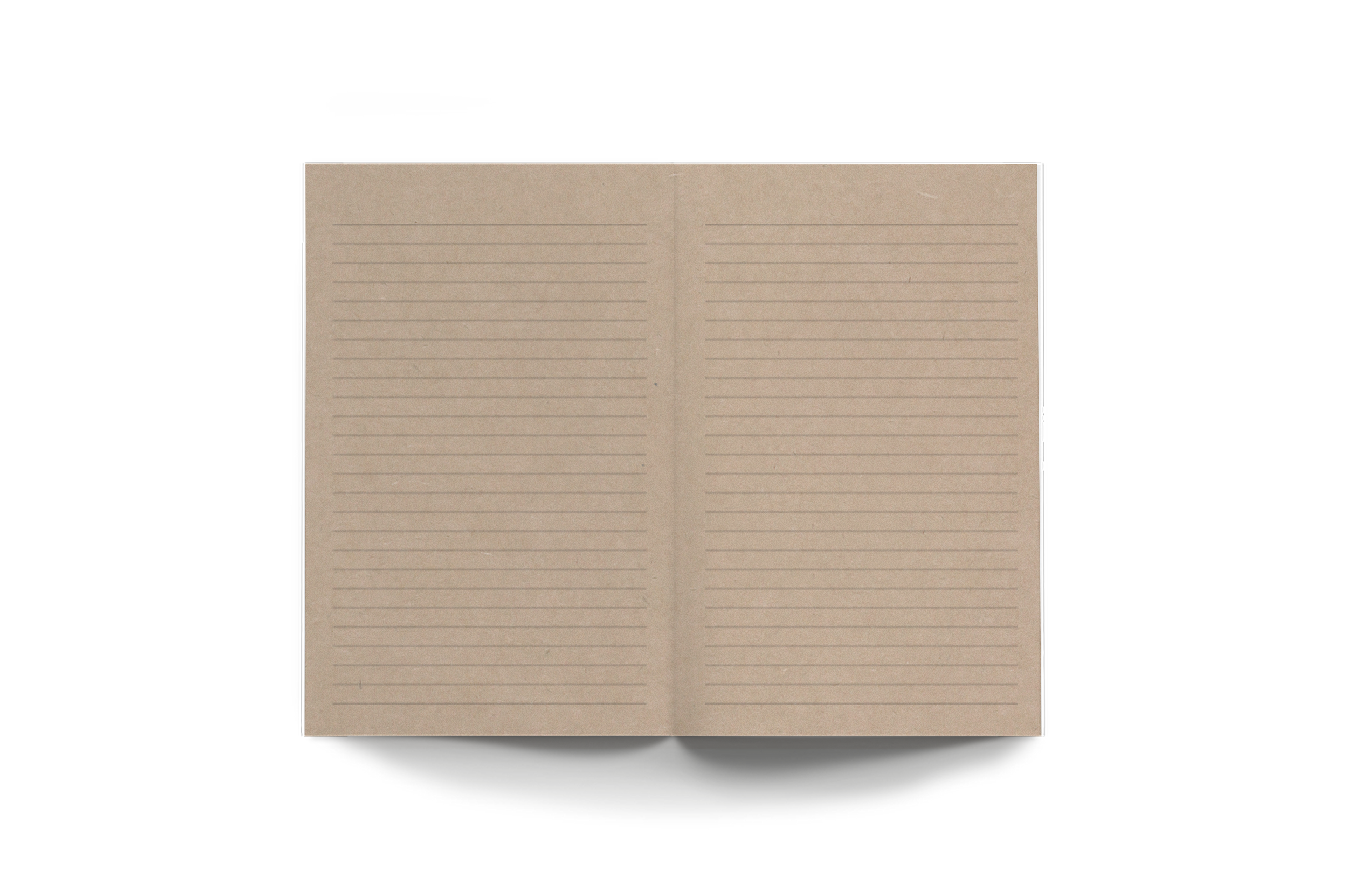 Denik x Rayco- Desert Skull Kraft Classic Layflat Notebook