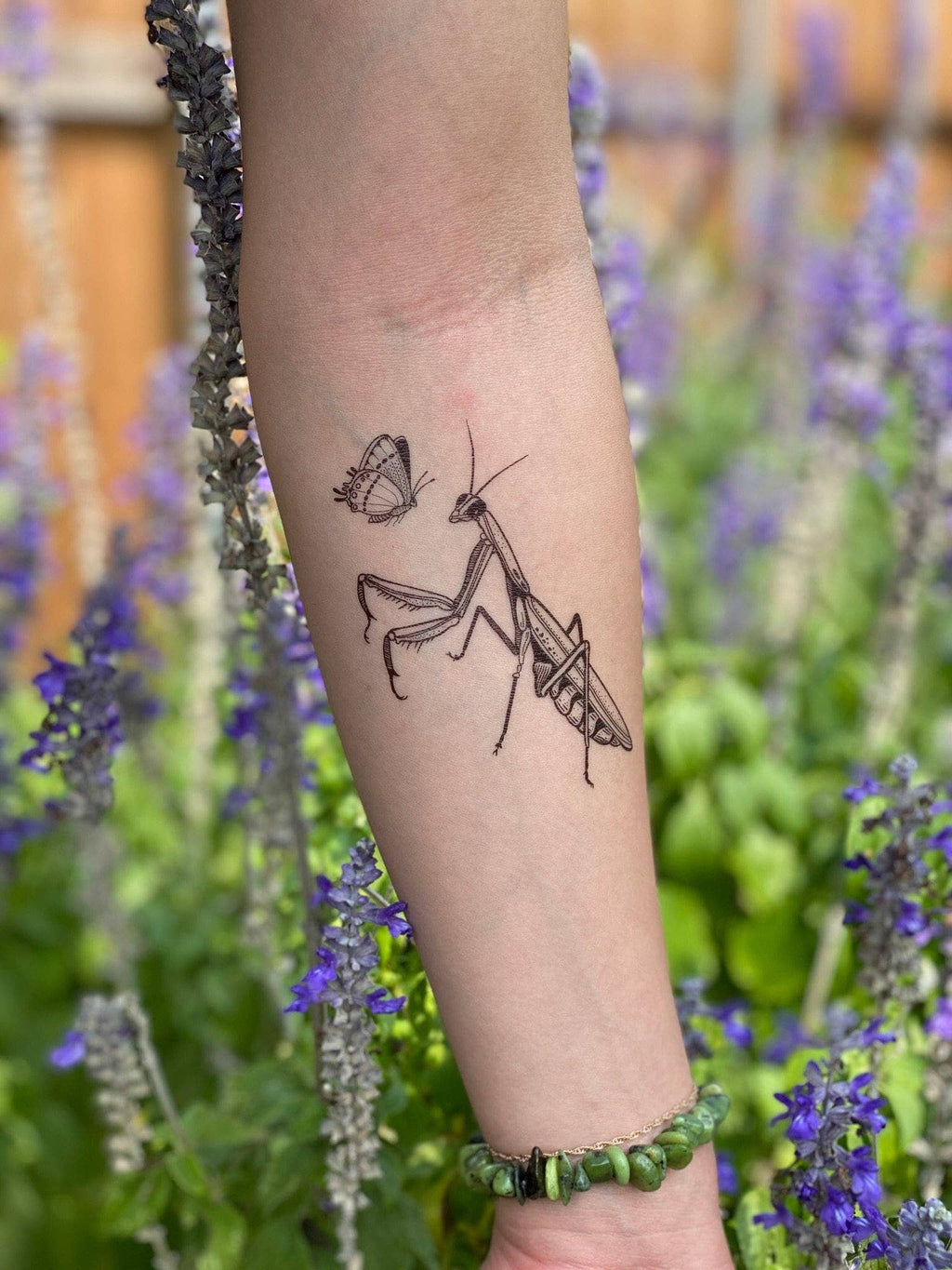 NatureTats- Praying Mantis Temporary Tattoo