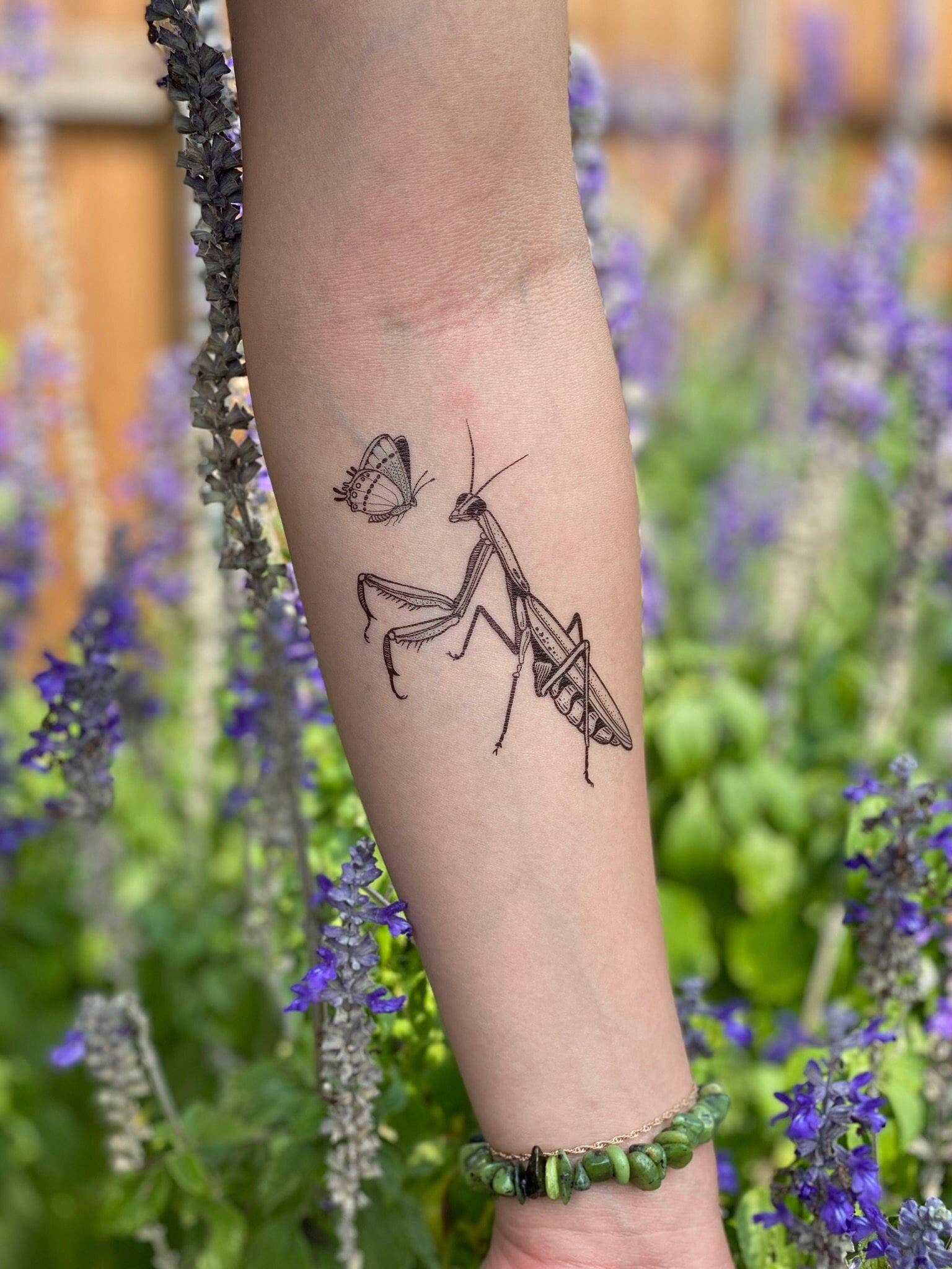 NatureTats- Praying Mantis Temporary Tattoo