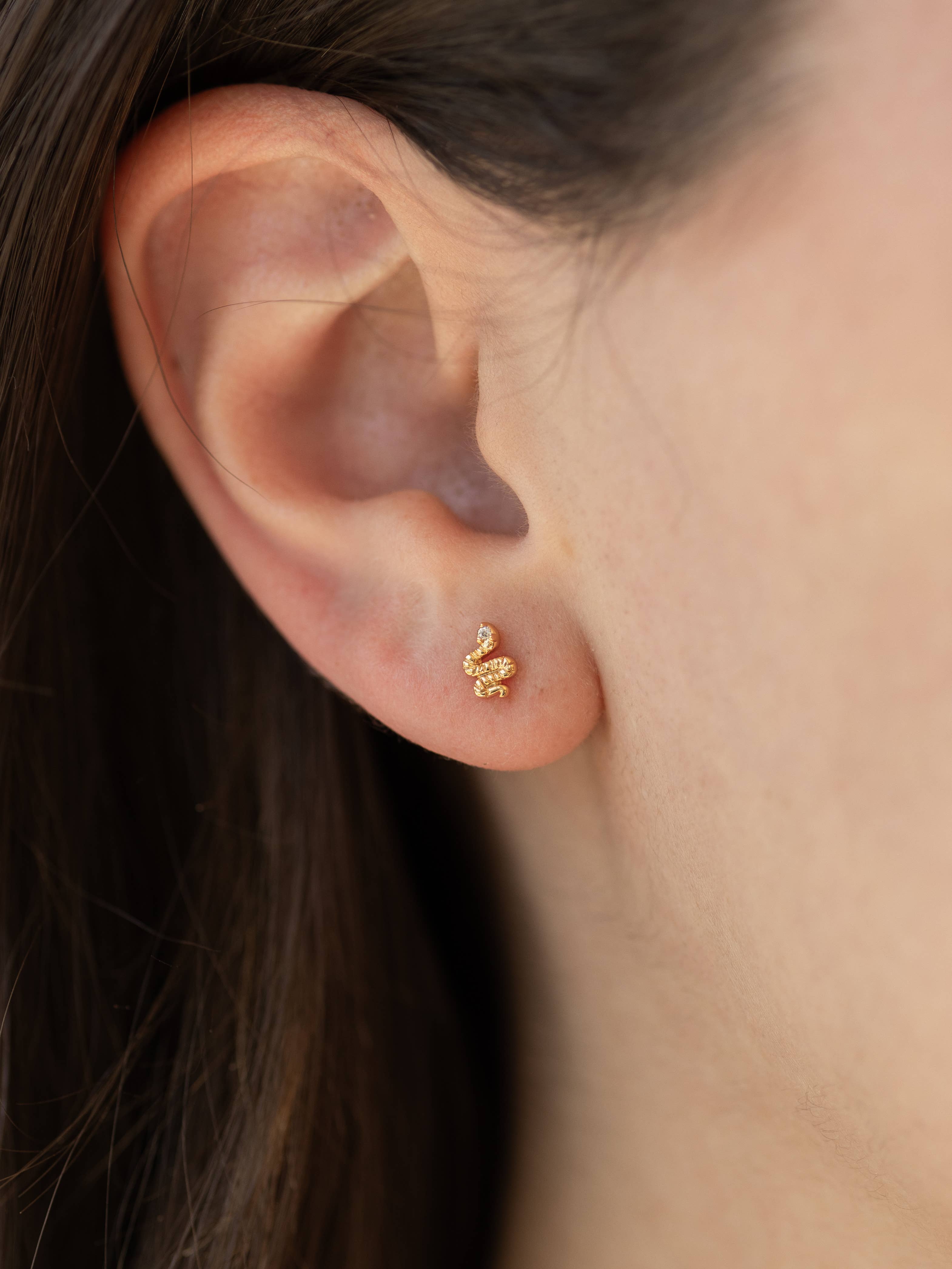 Land of Salt- Snake Stud Earrings in Gold