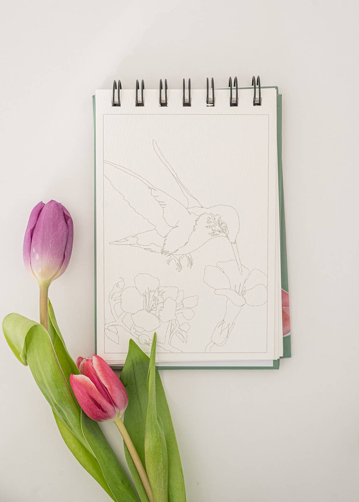 Bailey Rae Studio- A Little Bit of Summer - Mini Watercoloring Book