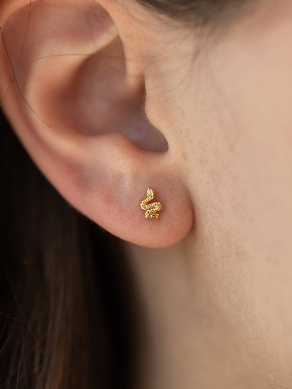 Land of Salt- Snake Stud Earrings in Gold