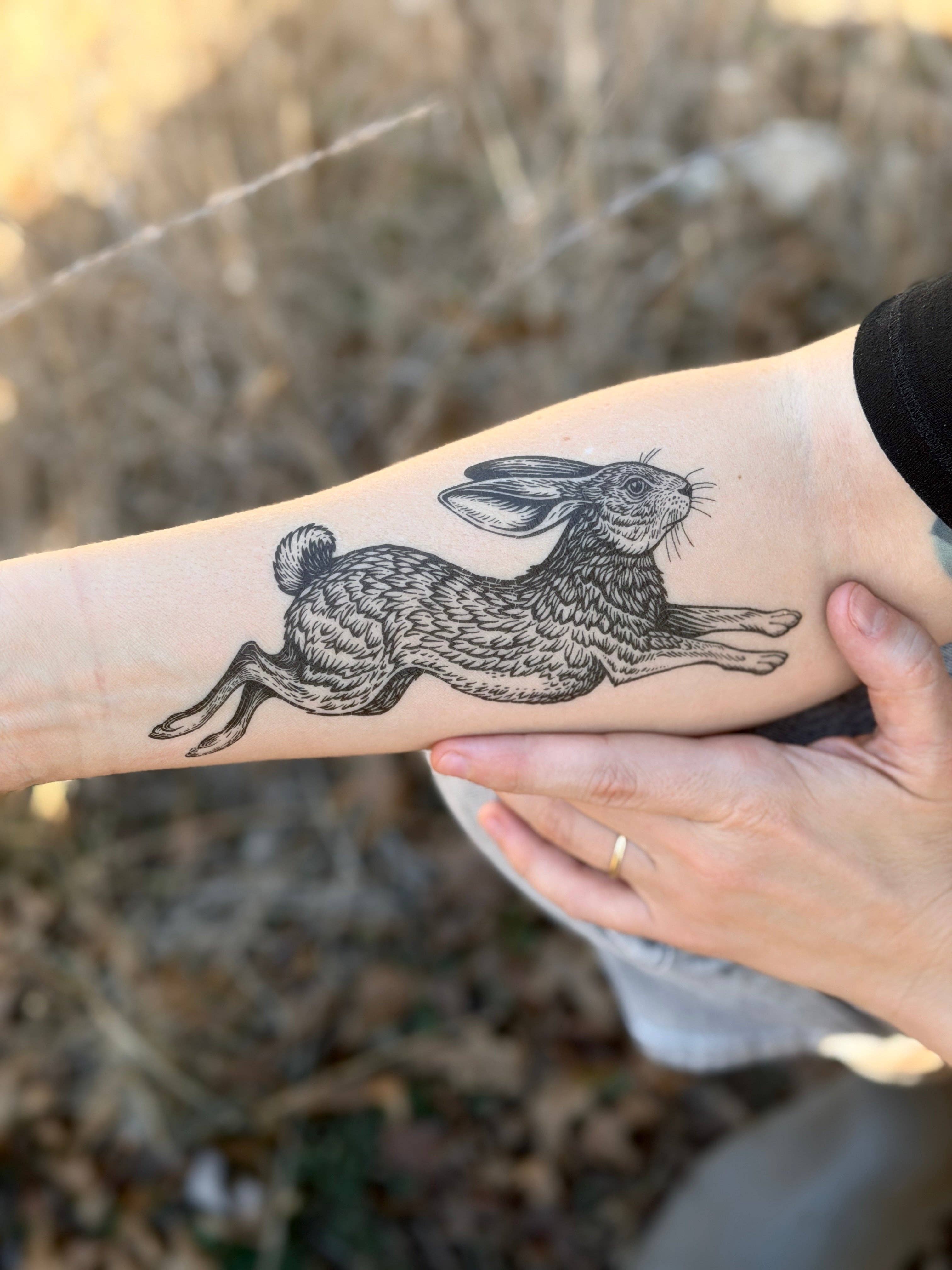 NatureTats- Jackrabbit Temporary Tattoo
