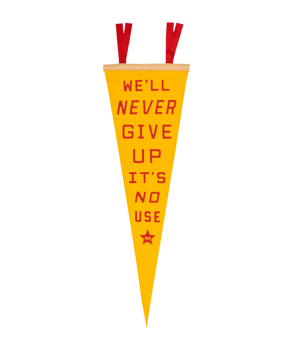 Oxford Pennant- We'll Never Give Up, It's No Use Pennant • blink-182 x Oxford Pennant