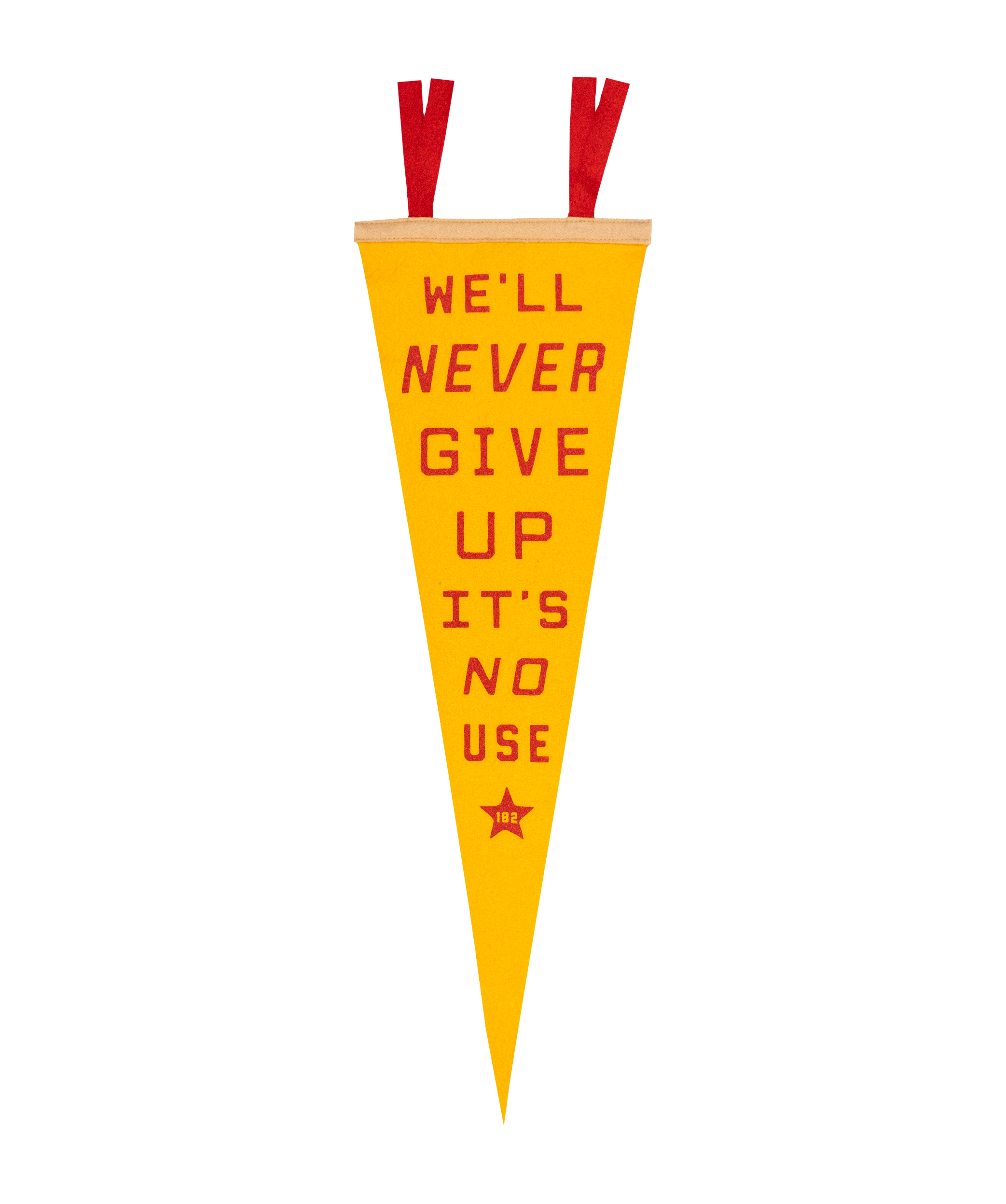 Oxford Pennant- We'll Never Give Up, It's No Use Pennant • blink-182 x Oxford Pennant