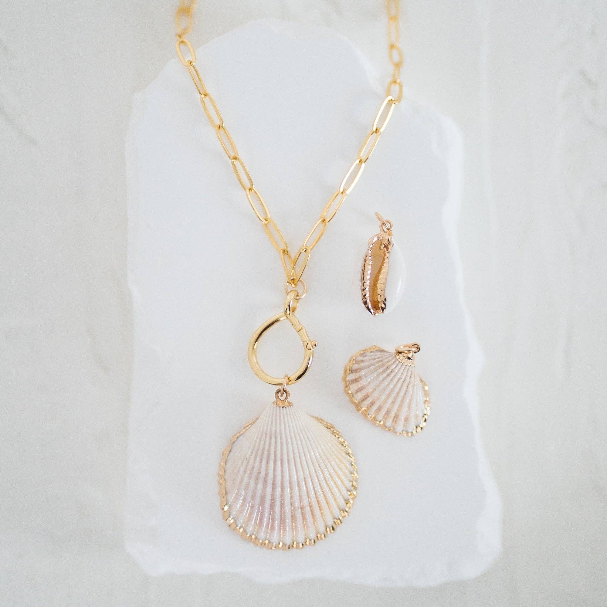 Reva Grey- Seashell Charms: Small White