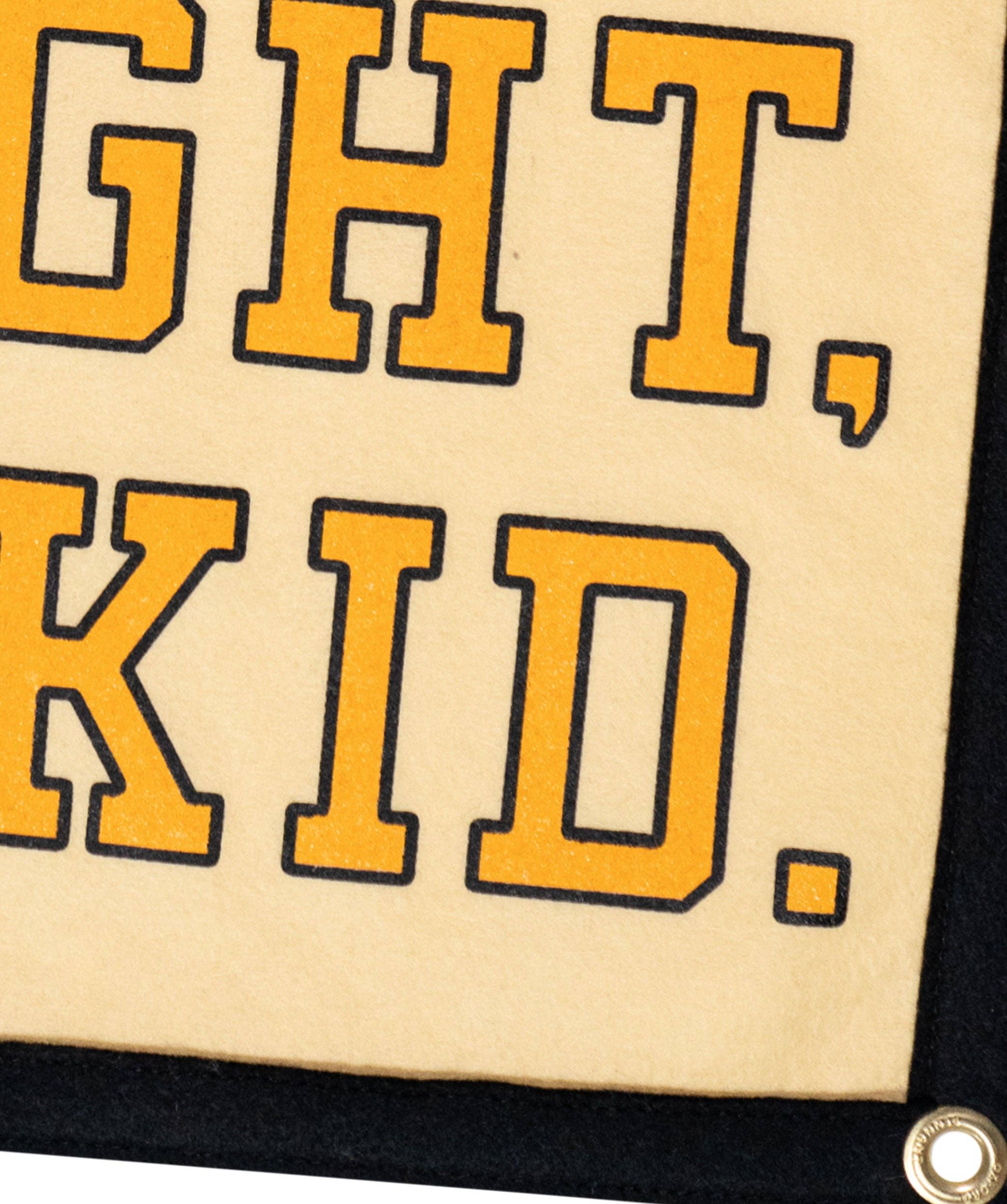 Oxford Pennant- Don't Lose Your Fight Camp Flag • All Time Low x Oxford Pennant