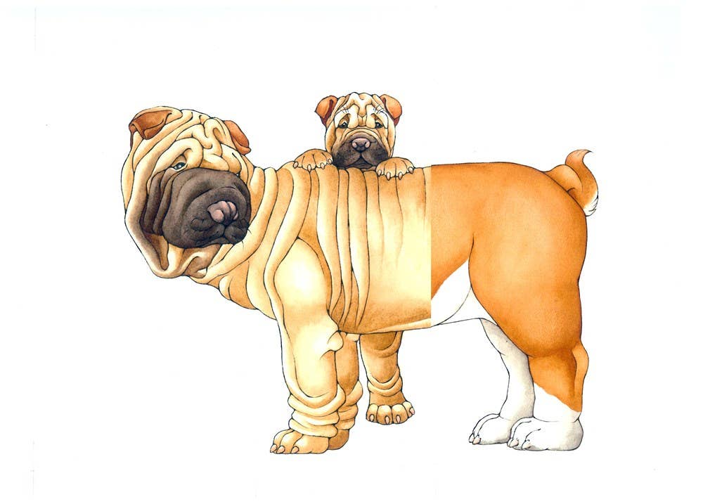 W. W. Norton- Mix-a-Mutt: Make Your Own Wacky Canine!: Board Book