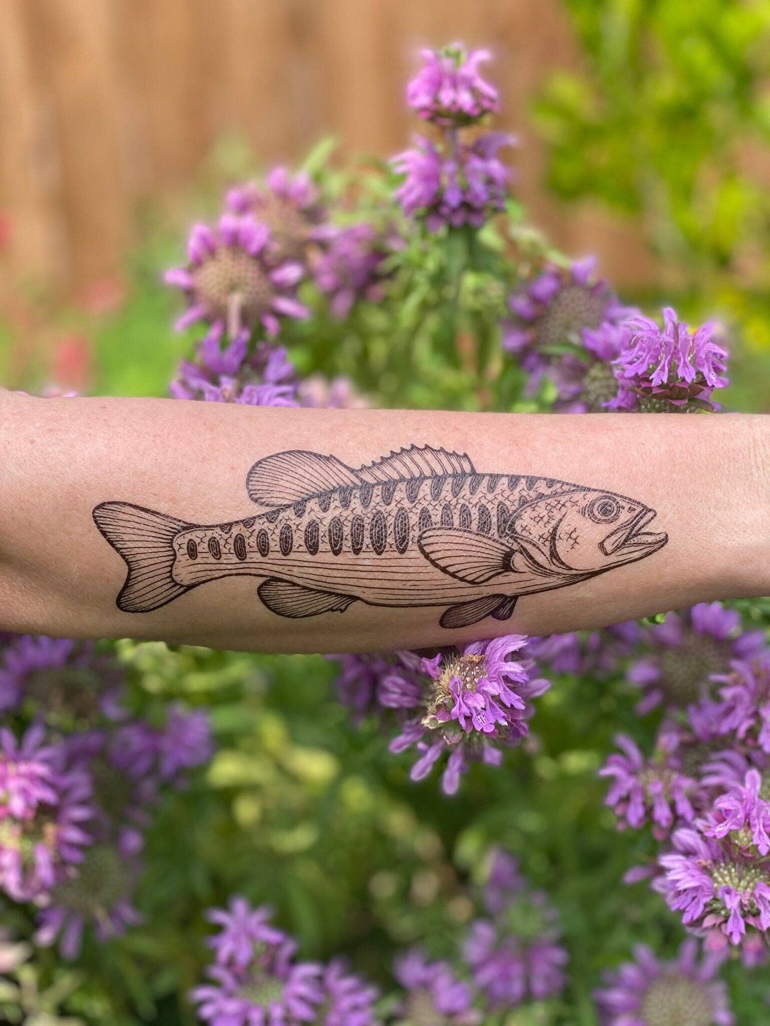 NatureTats - Bass Fish Temporary Tattoo