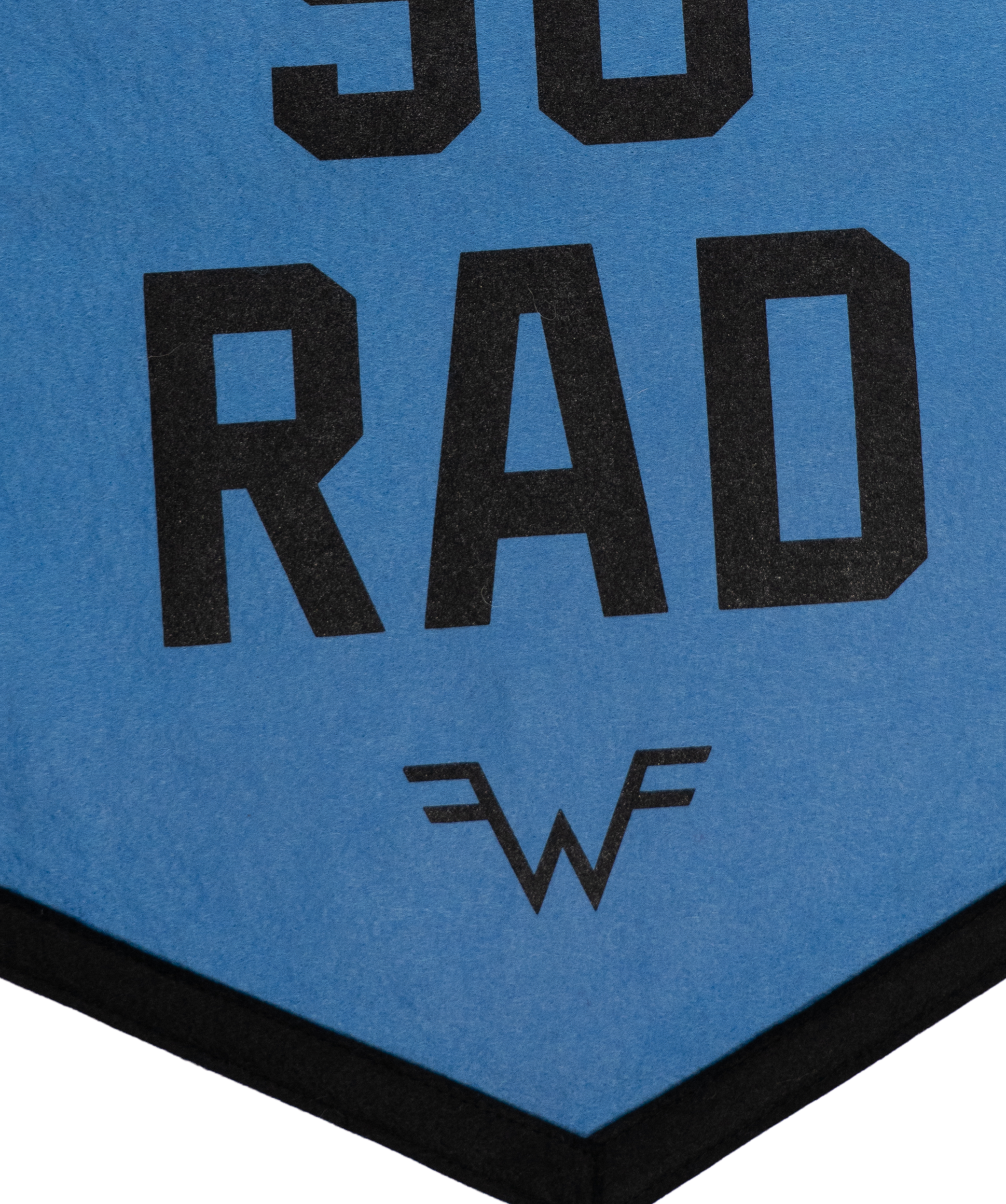 Oxford Pennant- Life's So Rad Camp Flag • Weezer x Oxford Pennant