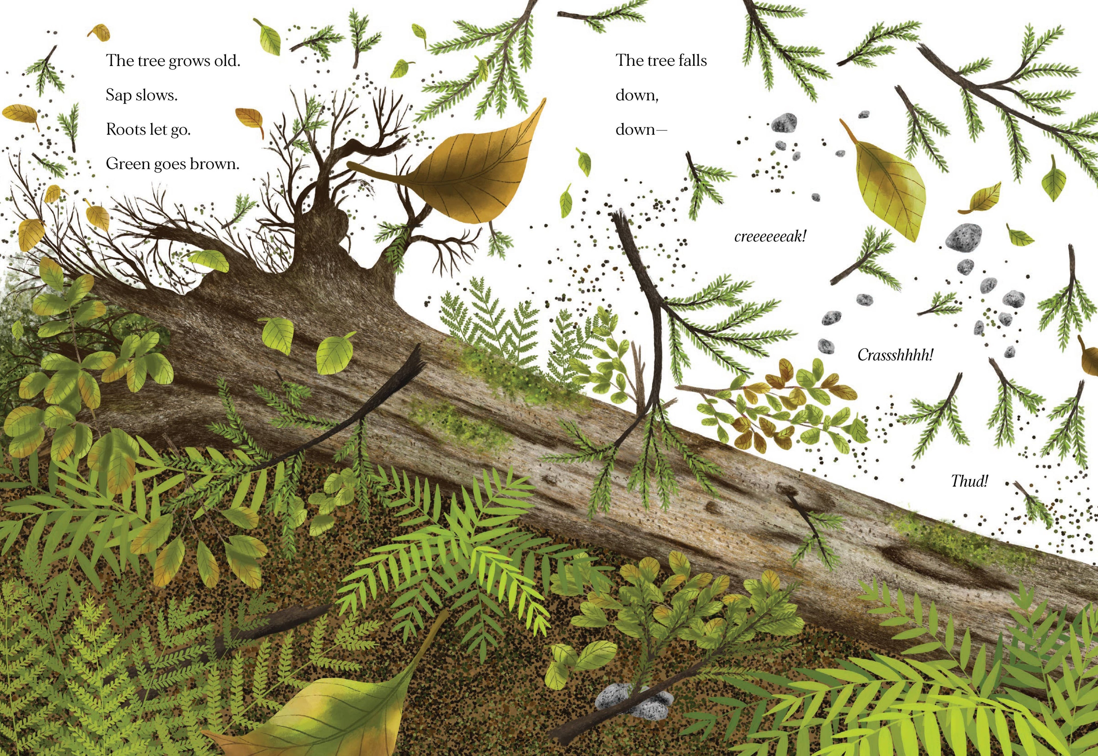 Chronicle Books- When a Tree Falls