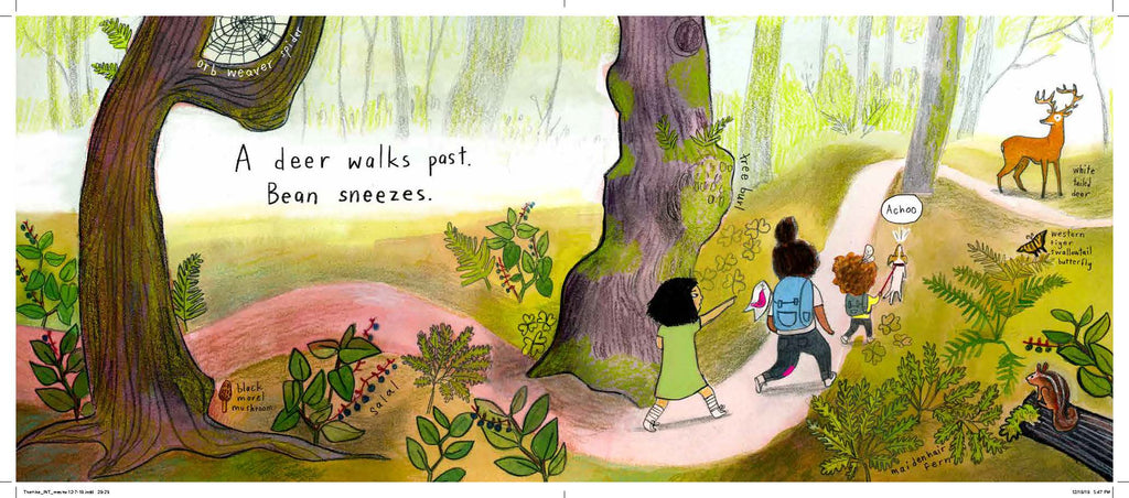 Chronicle Books- The Hike