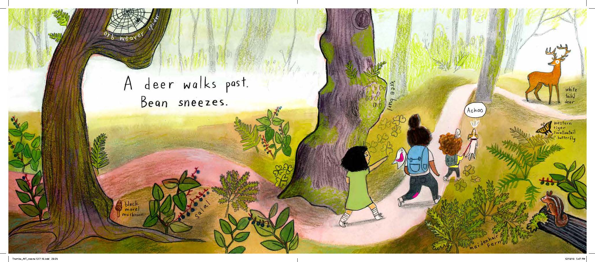 Chronicle Books- The Hike