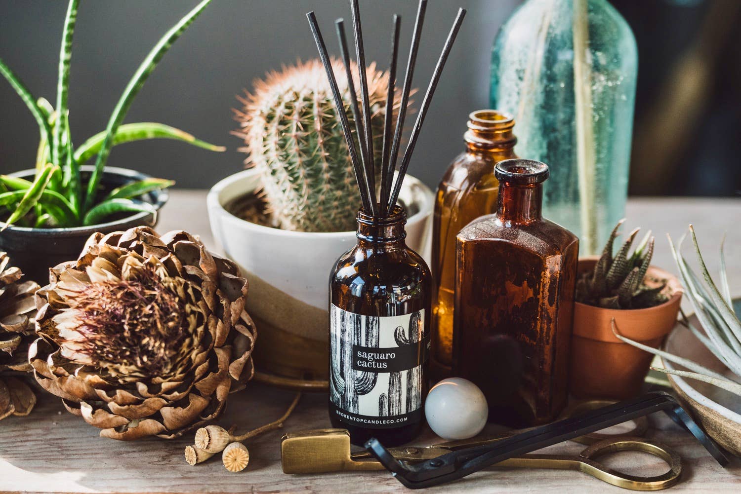 Broken Top Brands- Saguaro Cactus Reed Diffuser