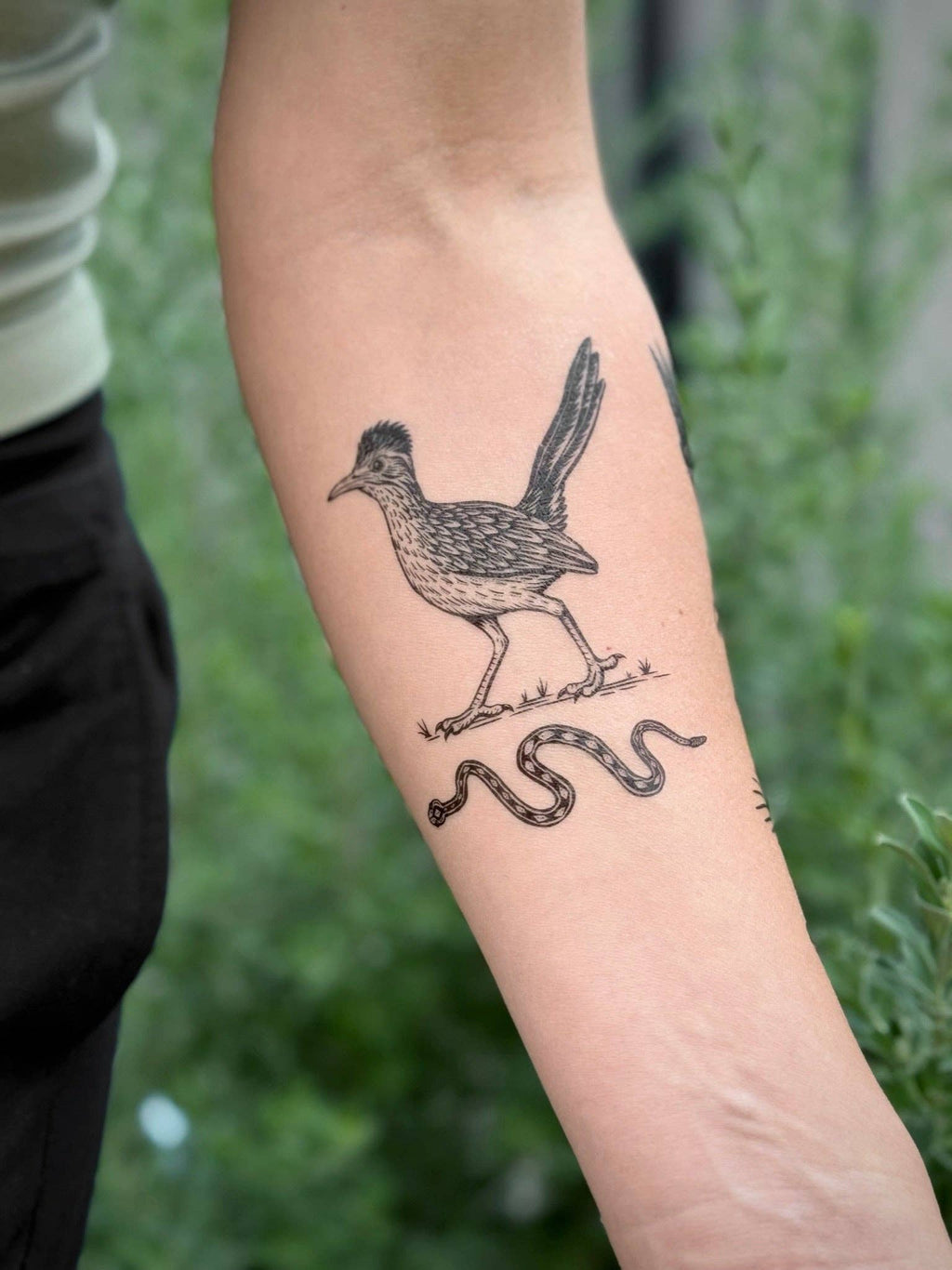 NatureTats- Roadrunner Temporary Tattoo