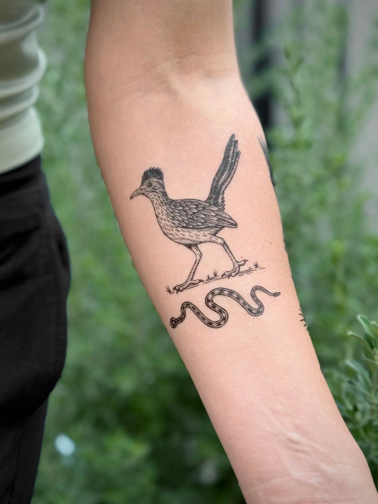 NatureTats- Roadrunner Temporary Tattoo