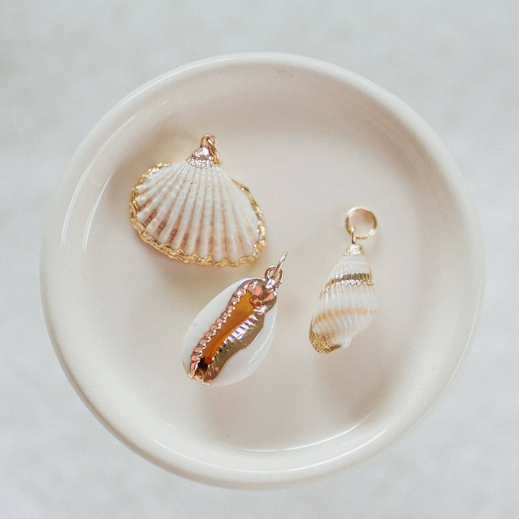 Reva Grey- Seashell Charms: Small White