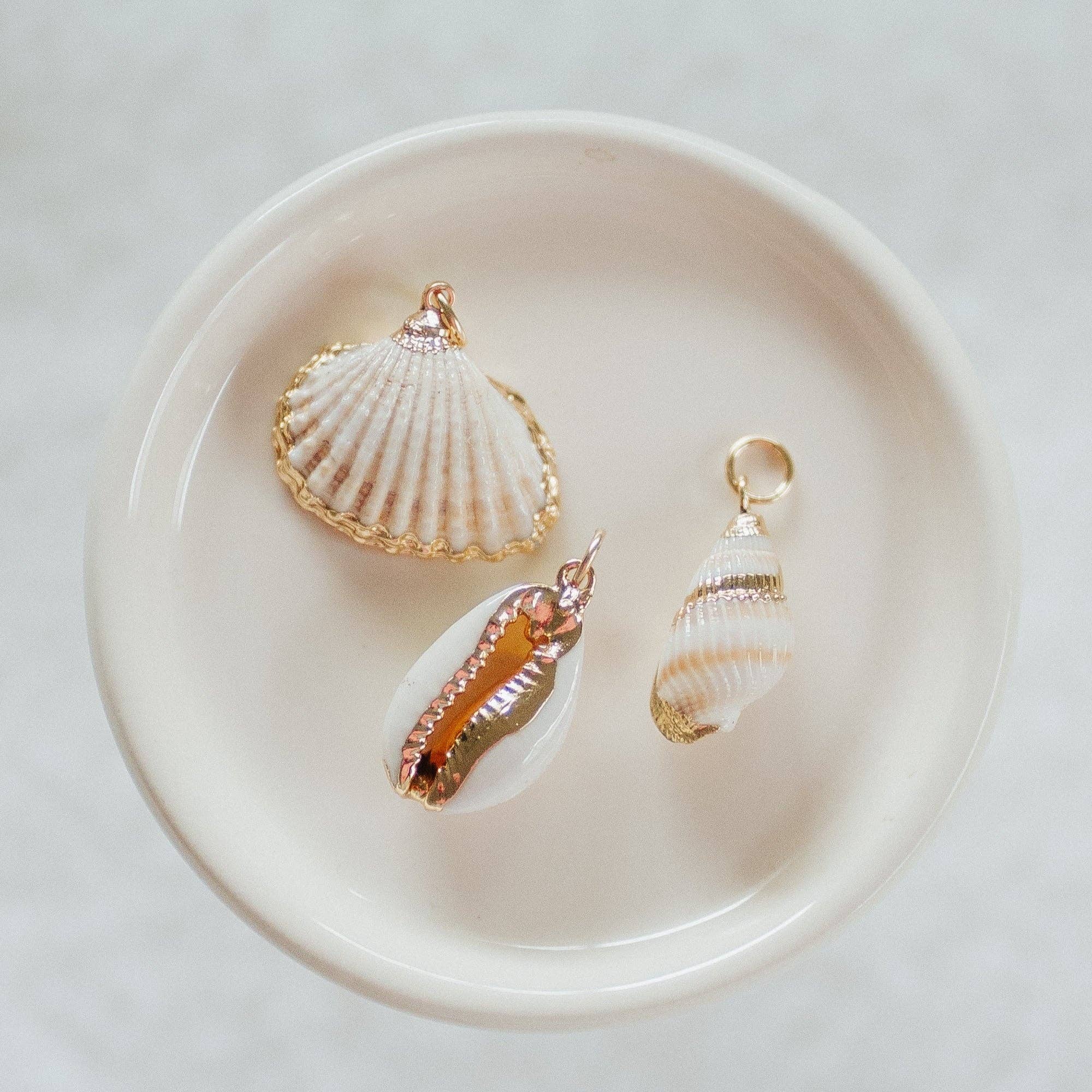 Reva Grey- Seashell Charms: Small White