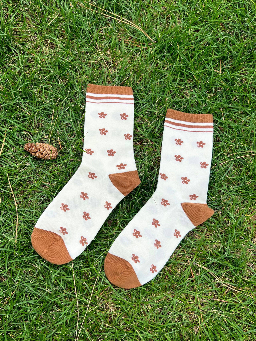 First Summer- Brown Trim Floral Print Crew Socks