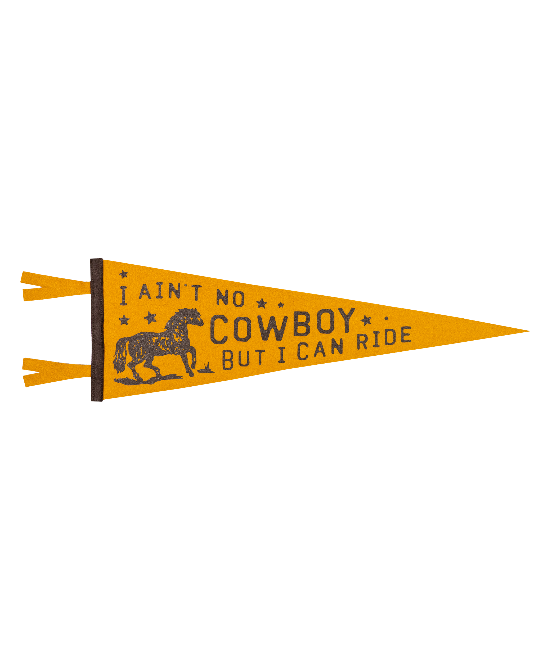 Oxford Pennant- I Ain't No Cowboy But I Can Ride Pennant • Jason Isbell x Oxford Pennant