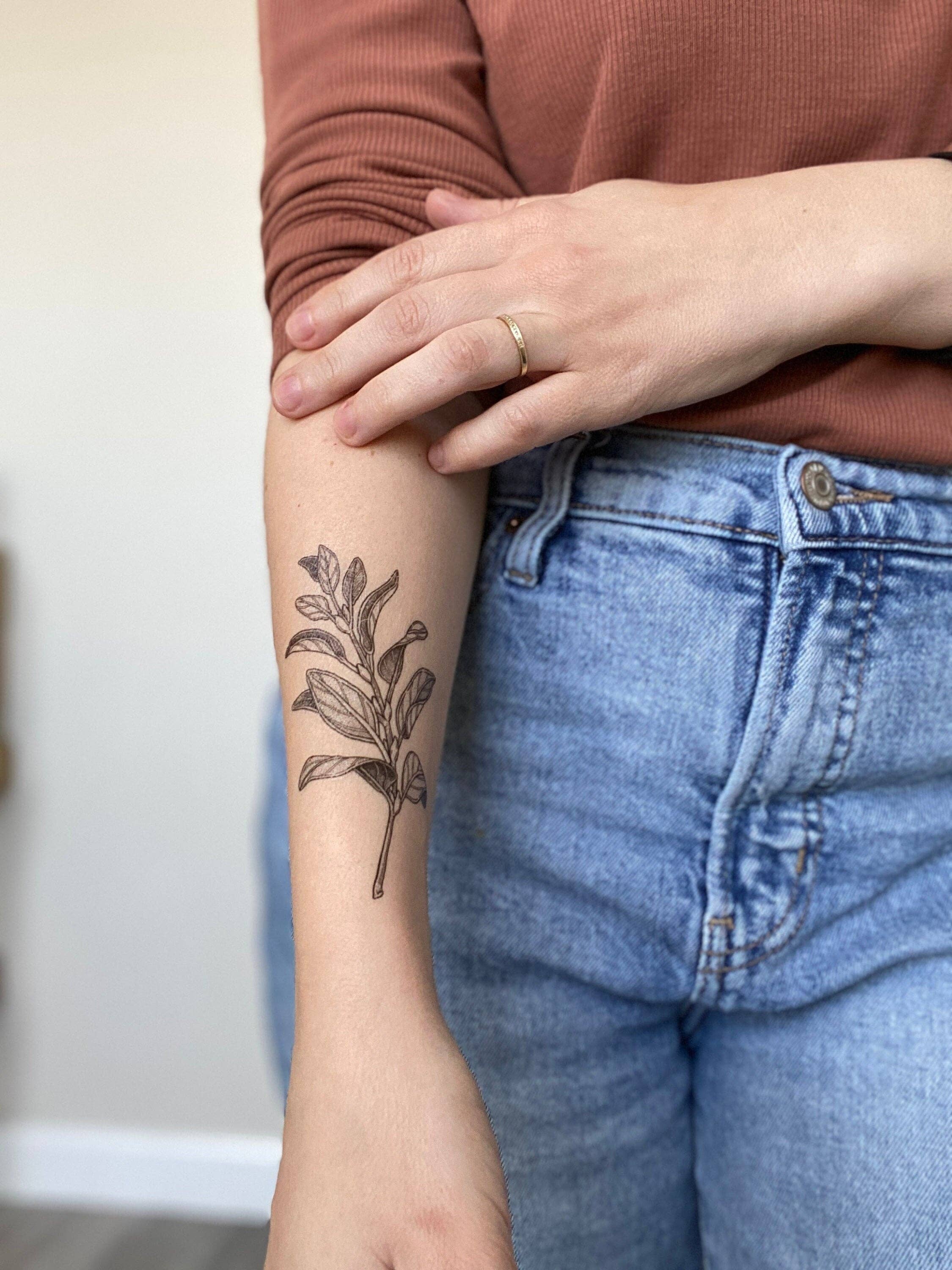 NatureTats - Sage Sprig Temporary Tattoo
