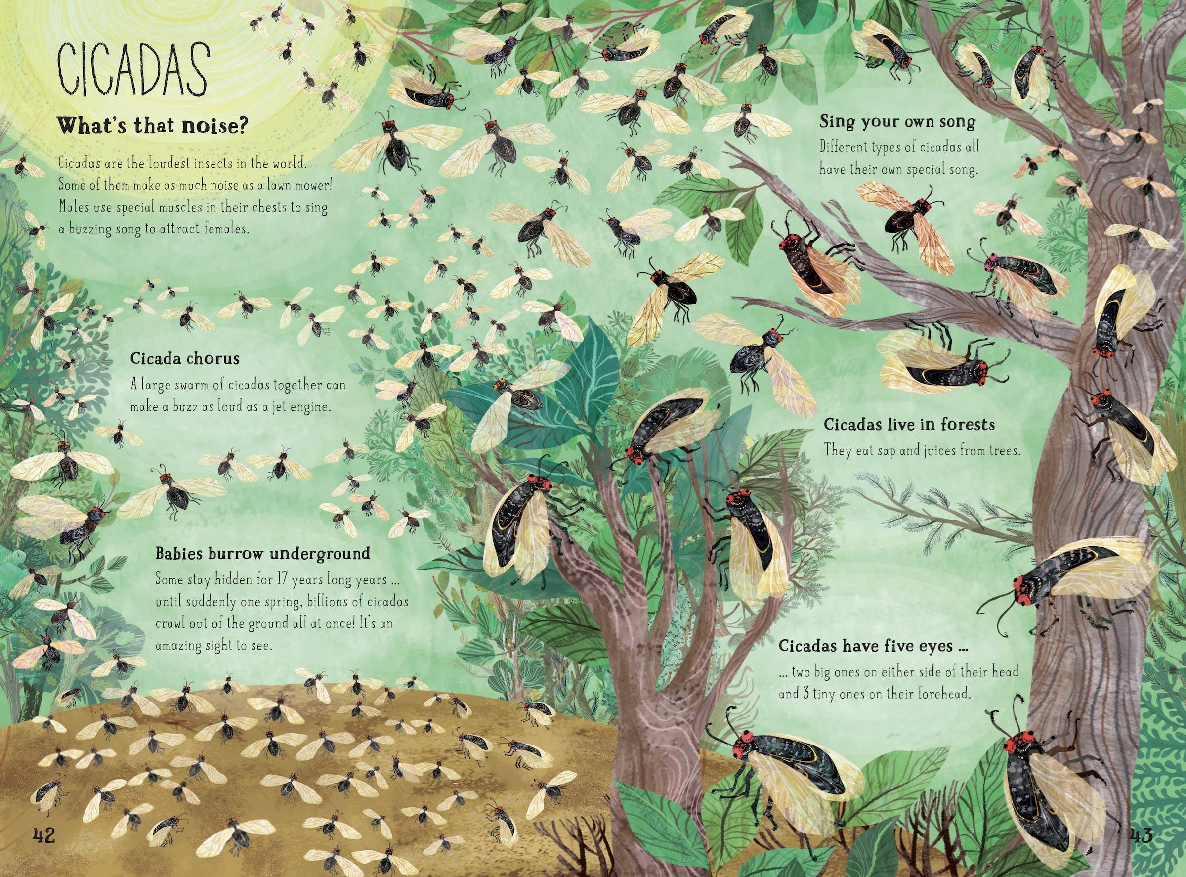 W. W. Norton- The Big Book of Bugs: 10th Anniversary Edition