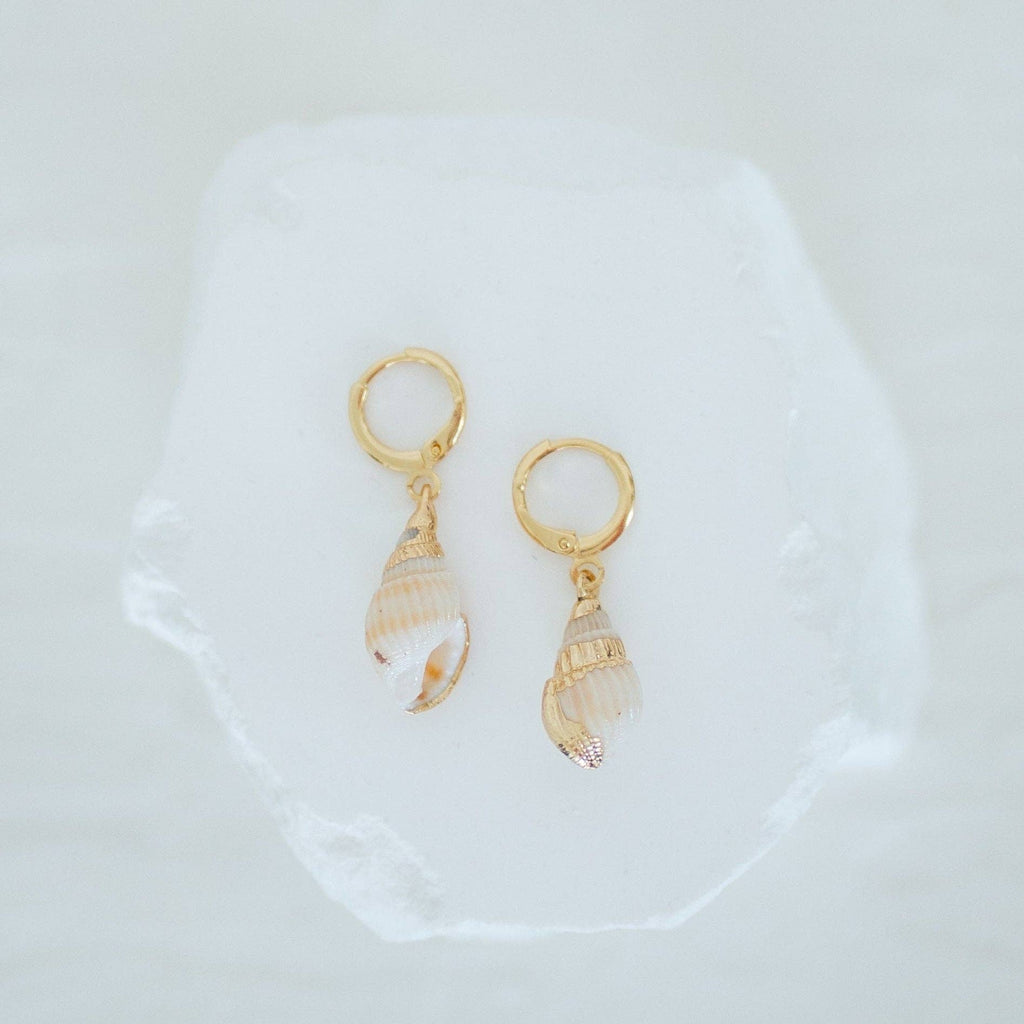Reva Grey - Spiral Shell Earring