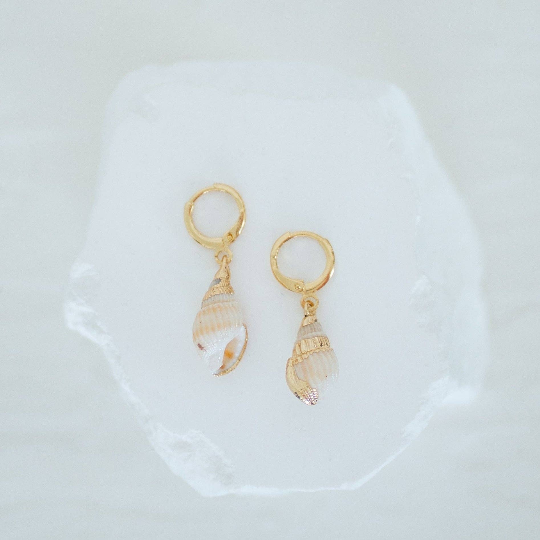 Reva Grey - Spiral Shell Earring