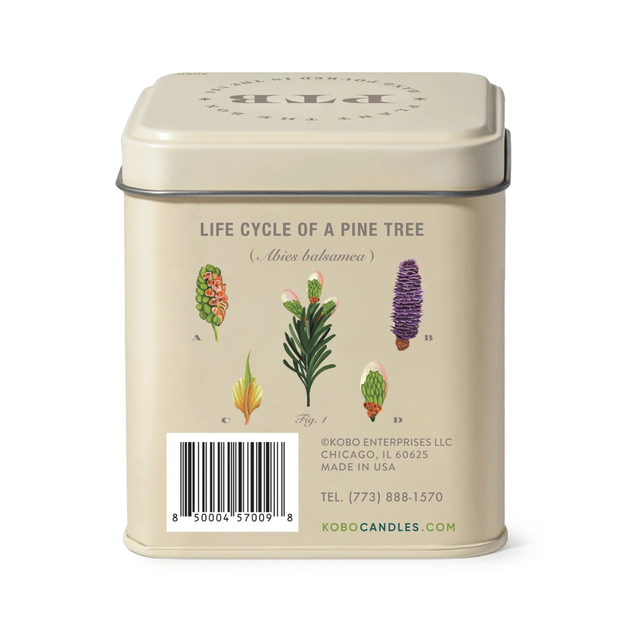 KOBO Candles- Rustic Pine Plant The Box Tin Candle