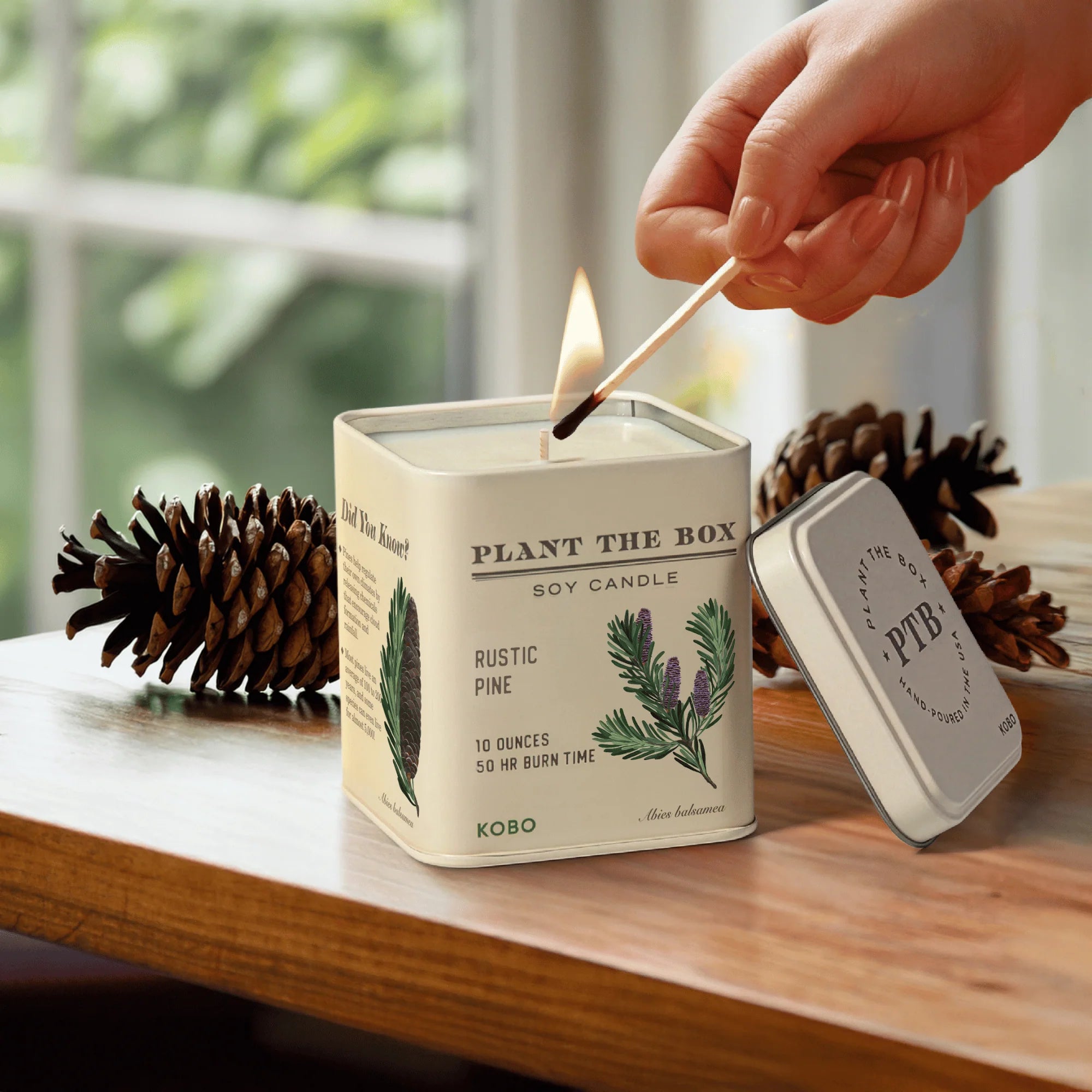 KOBO Candles- Rustic Pine Plant The Box Tin Candle