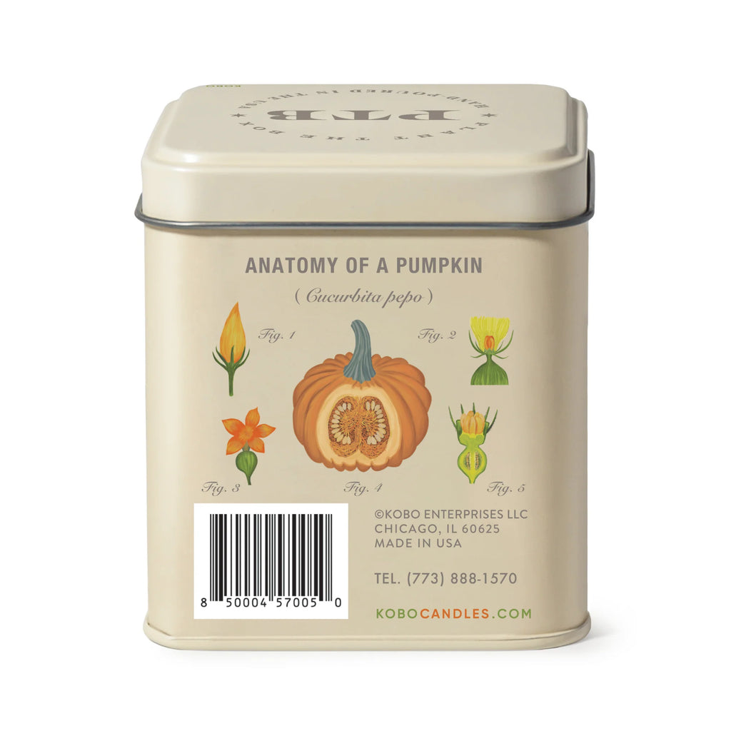 KOBO Candles- Half Moon Pumpkin Plant The Box Tin Candle