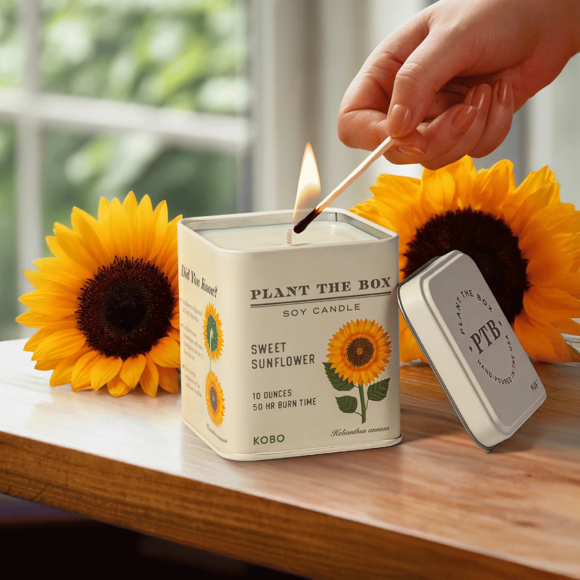KOBO Candles- Sweet Sunflower Plant The Box Tin Candle