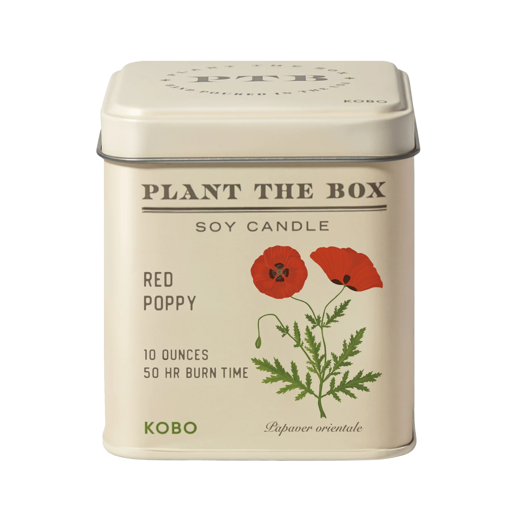 KOBO Candles- Sweet Sunflower Plant The Box Tin Candle