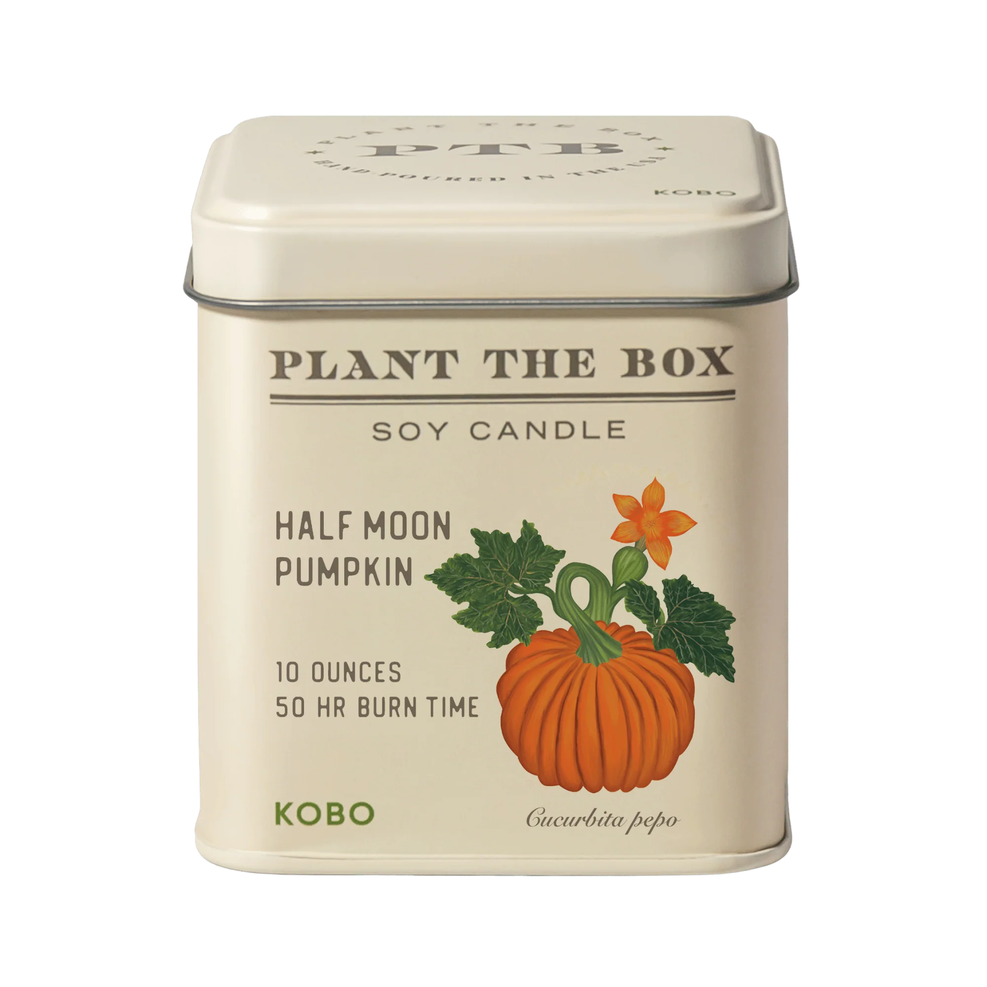 KOBO Candles- Half Moon Pumpkin Plant The Box Tin Candle