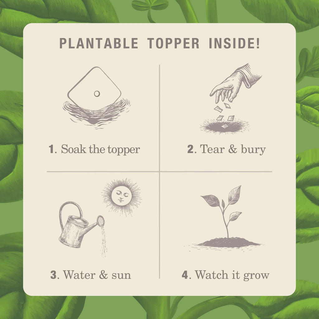 KOBO Candles- Fresh Picked Basil Plant The Box Tin Candle