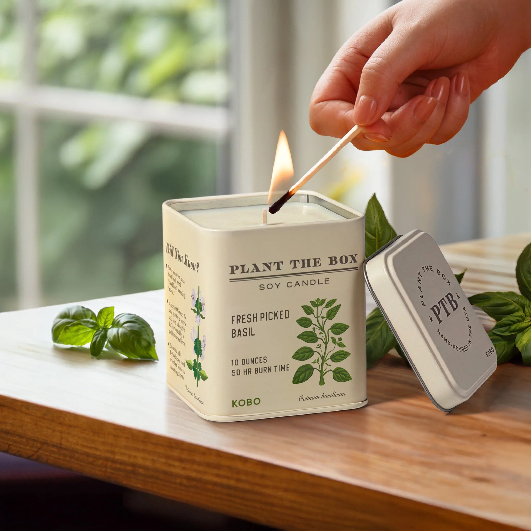 KOBO Candles- Fresh Picked Basil Plant The Box Tin Candle