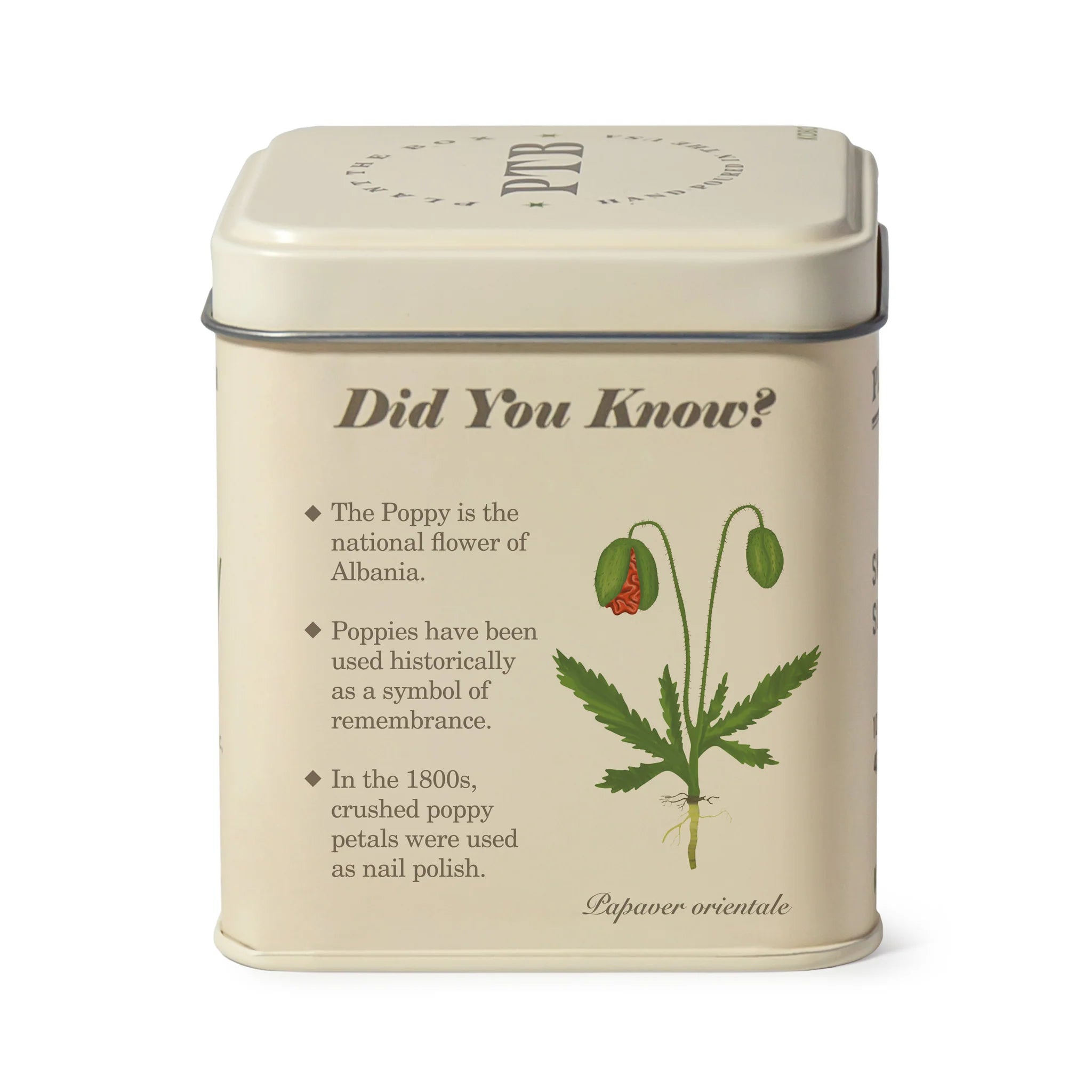 KOBO Candles- Red Poppy Plant The Box Tin Candle