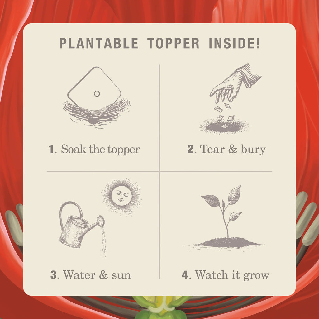 KOBO Candles- Red Poppy Plant The Box Tin Candle