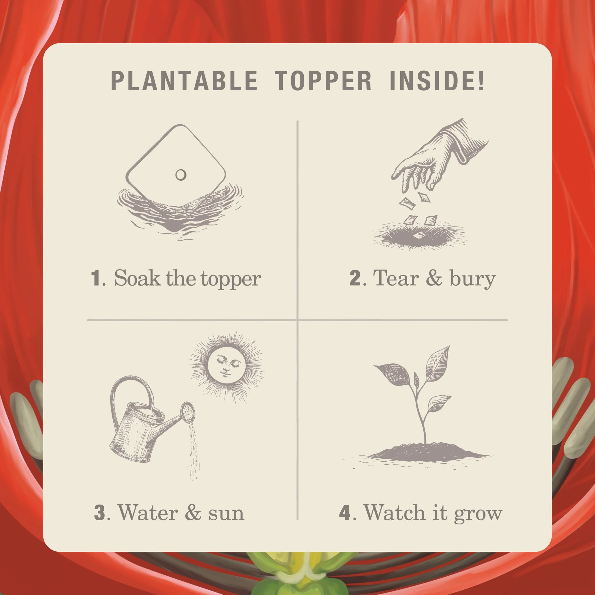 KOBO Candles- Red Poppy Plant The Box Tin Candle