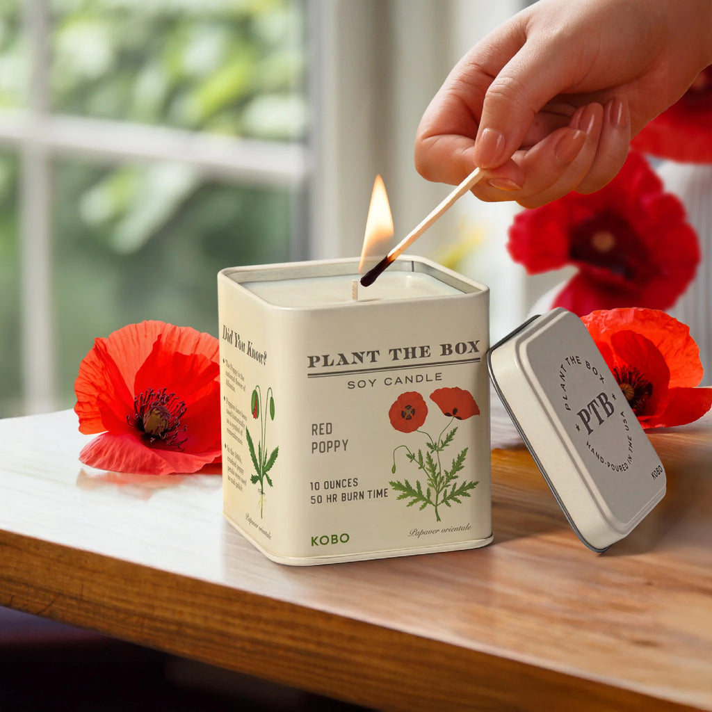 KOBO Candles- Red Poppy Plant The Box Tin Candle